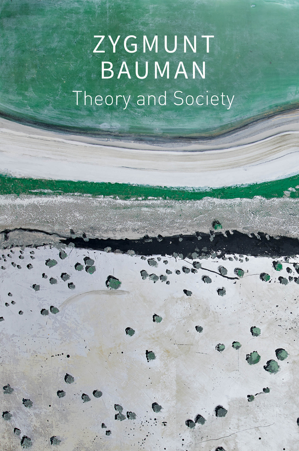Theory and Society: Selected Writings 封面